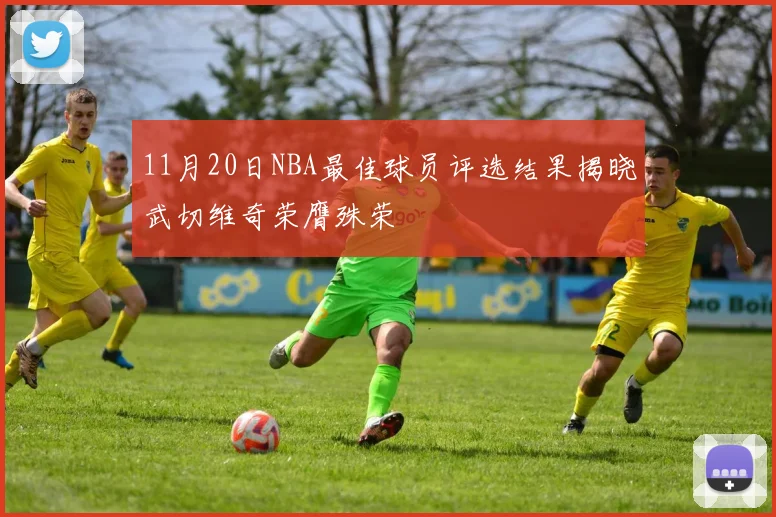 11月20日NBA最佳球员评选结果揭晓武切维奇荣膺殊荣